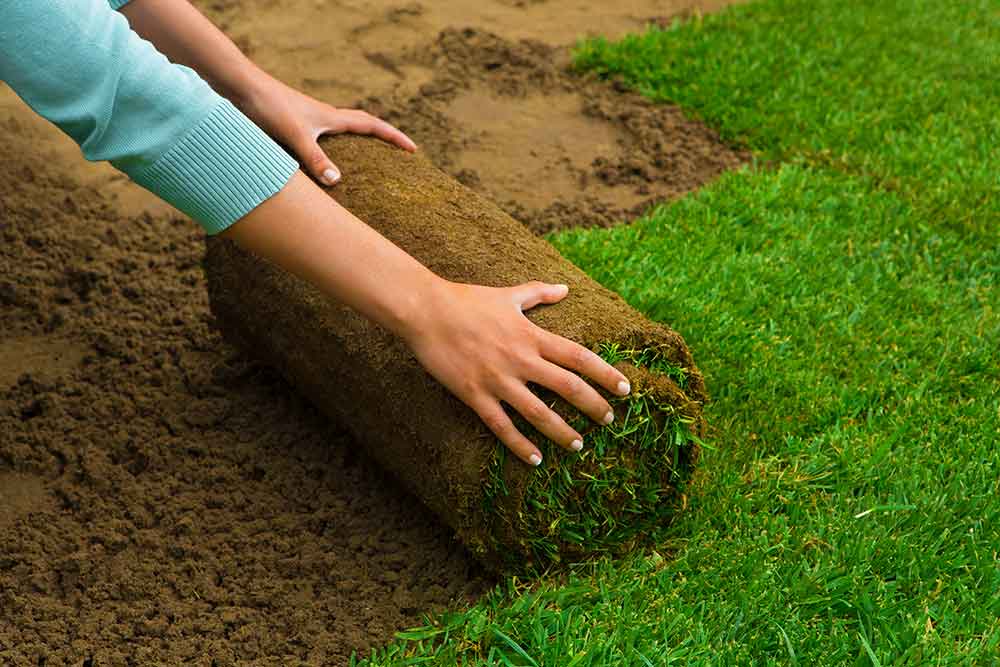 Landscaping in Colchester