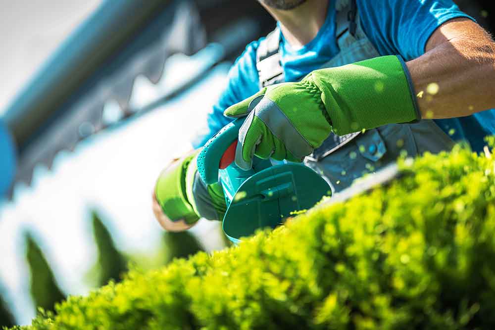Landscaping in Colchester