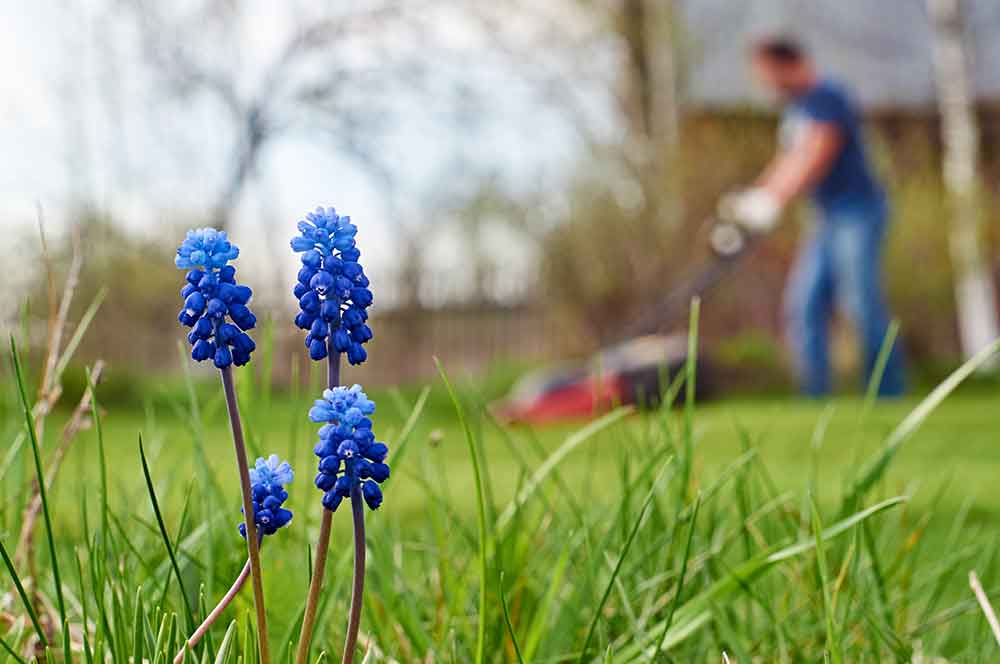 Landscaping in Colchester